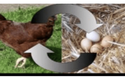 De invloed van faalangst op EF en zwakke EF als oorzaak van faalangst; Een kip of ei verhaal